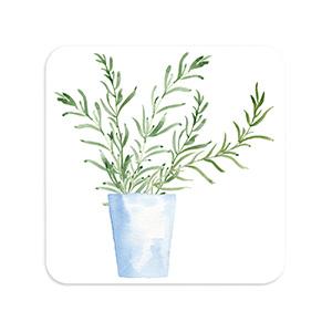 Stone Coaster: Fine Stone Selection